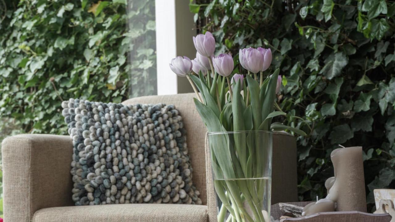 B&B Jardin - Schagen Dış mekan fotoğraf