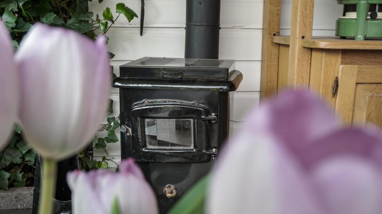 B&B Jardin - Schagen Dış mekan fotoğraf